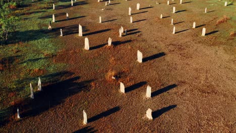 Magnetic-Termite-Mounds-Standing-On-The-Wide-Plain-Under-Summer-Day-In-Litchfield-National-Park