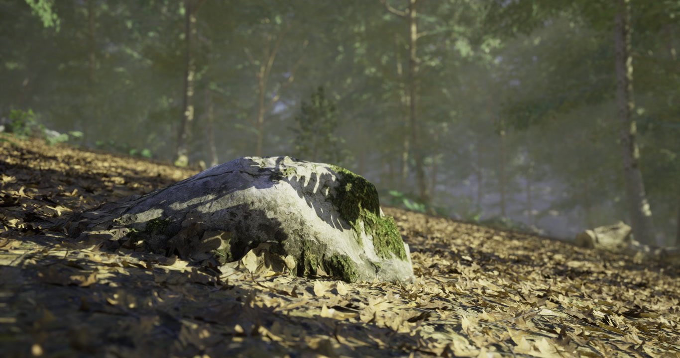 Moss covered rock surrounded by leaves in a tranquil forest setting