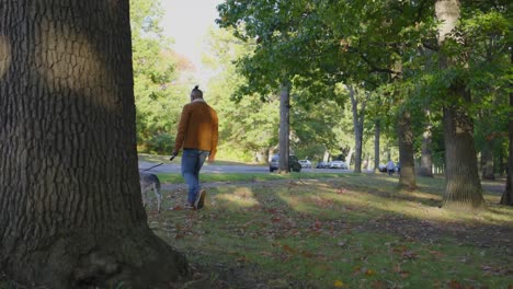 a young black man walks his dog through the park on a sunny fall day in ohio