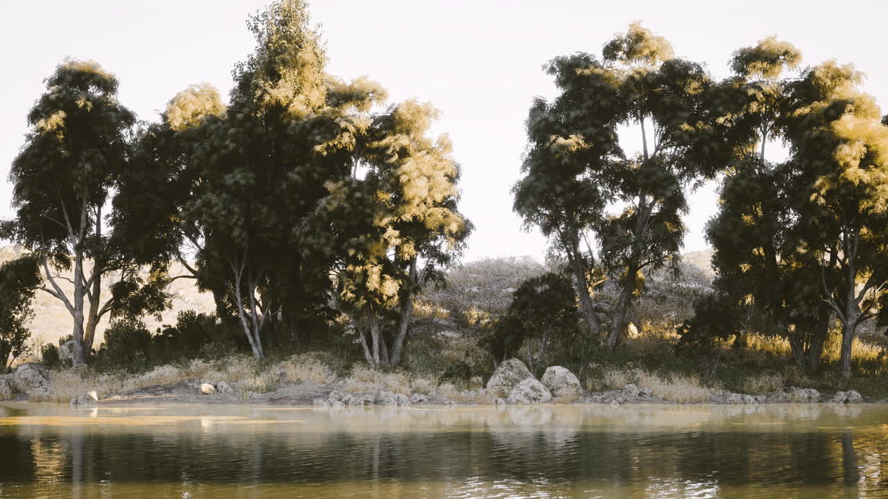 L'ora d'oro proietta un bagliore caldo su una tranquilla riva del fiume fiancheggiata da alberi rigogliosi.