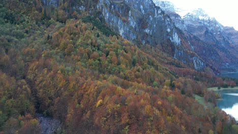 Slow-zoom-in-shot-of-a-alpine-forest-in-the-mountain-regions-with-high-mountain-summits-and-snowy-peaks