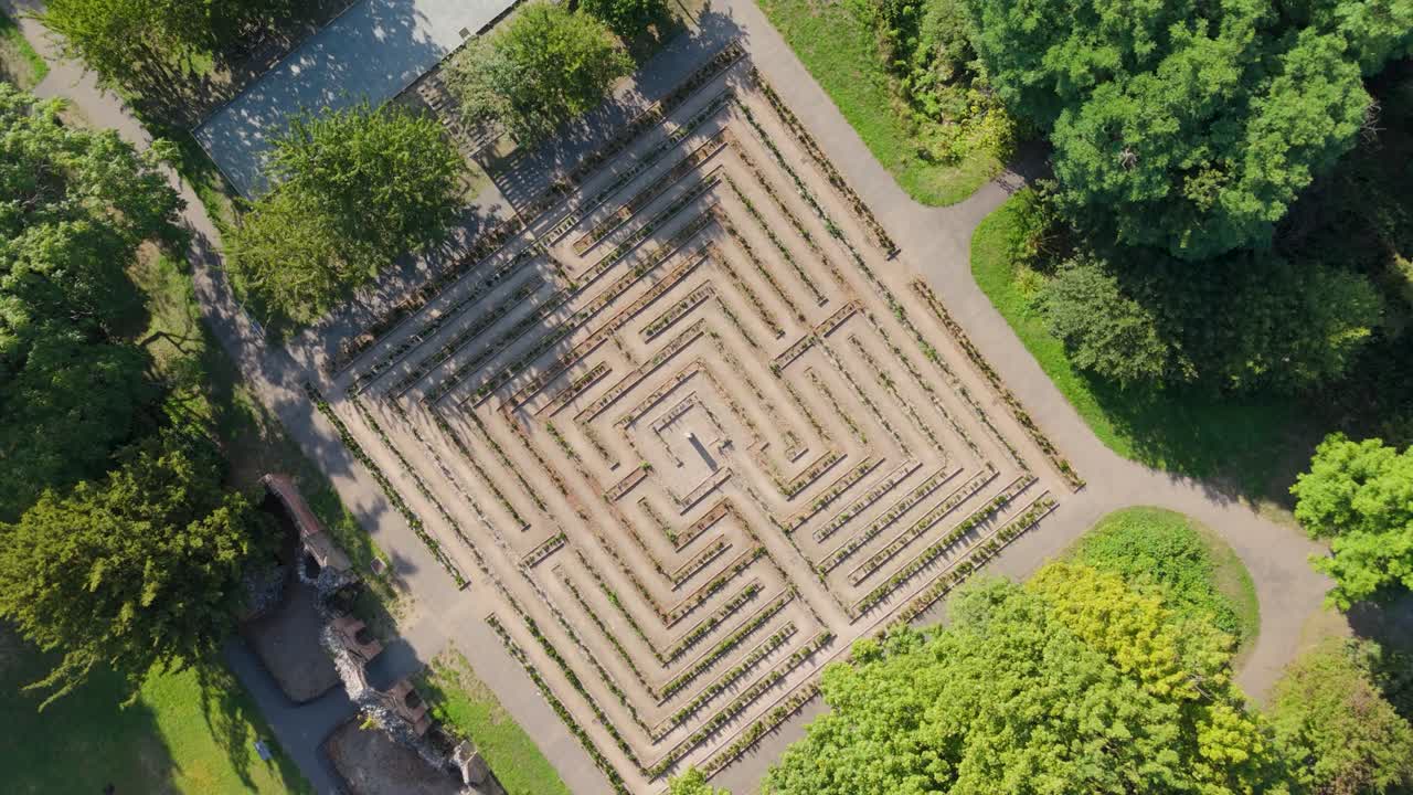Top-down drone shot rising above the maze at Cedar’s Park, Cheshunt, England, rotating to reveal perfect symmetry and surrounding summer greenery