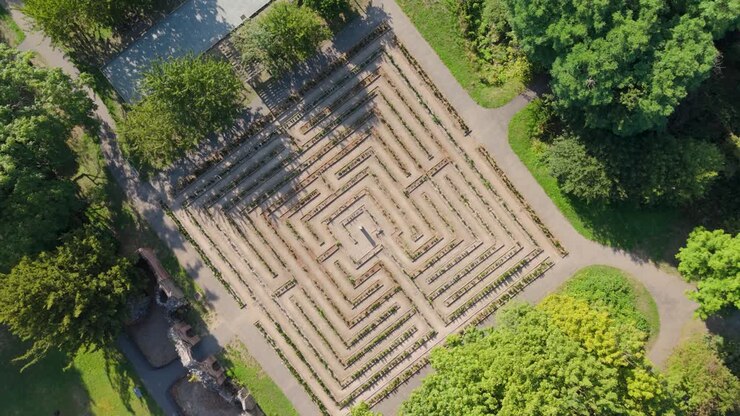 Top-down drone shot rising above the maze at Cedar’s Park, Cheshunt, England, rotating to reveal perfect symmetry and surrounding summer greenery