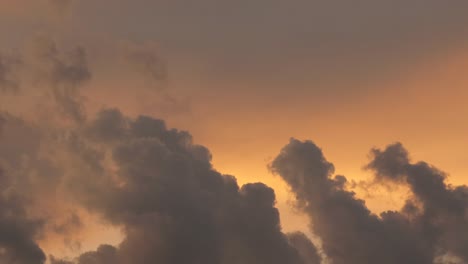 pájaro volando a través de la formación de nubes durante el atardecer australia gippsland victoria maffra