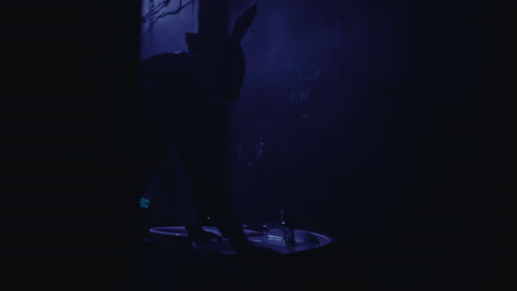mysterious figure in a dark bathroom