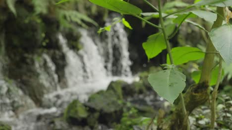 SLOW-MOTION-SHOT-OF-A-SPRING-IN-URUAPAN-NATIONAL-PARK-2