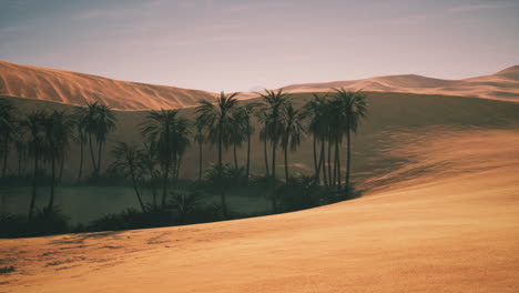 un tranquilo oasis desértico con palmeras y un pequeño lago