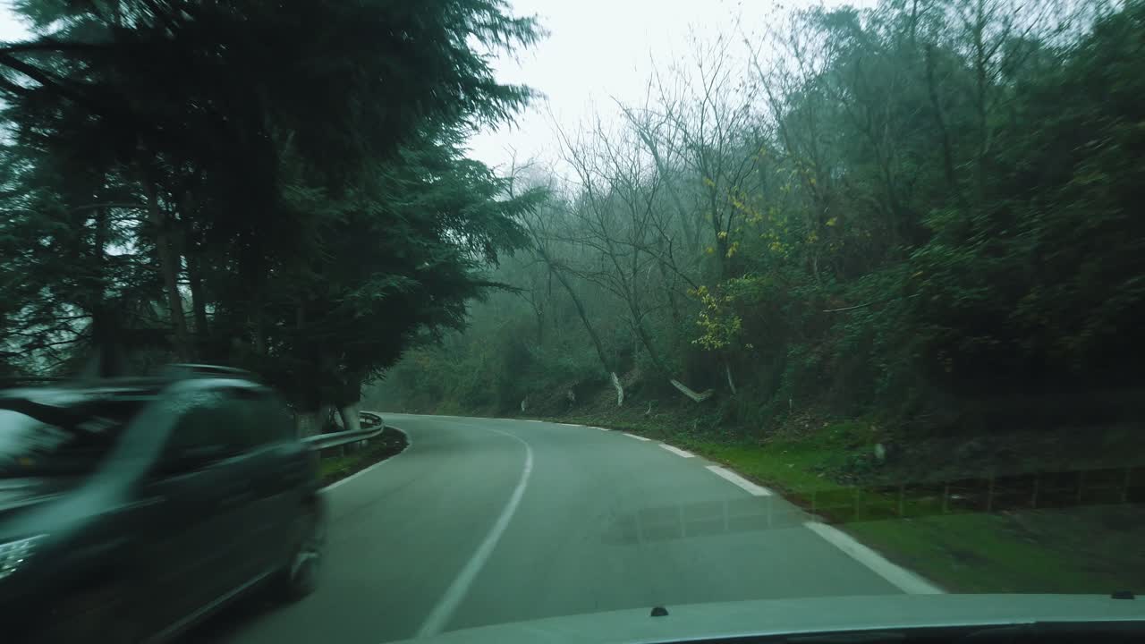 세드러스 나무와 아름다운 자연을 가로지르는 숲길, 아틀라스 산맥, 아스팔트 도로, 크레아 국립공원으로 가는 길 - 알제리