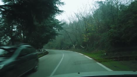 Driving-in-forest-road-acrossing-Cedrus-trees-and-beautiful-nature-,-in-ATLAS-mountains,-asphalt-road-,road-to-chrea-national-park---algeria