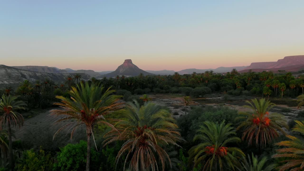 Aerial view Ascending shot, Scenic view of red palm trees and grassland revealing the El Pilón mountain of La Purisima Baja California sur, Mexico