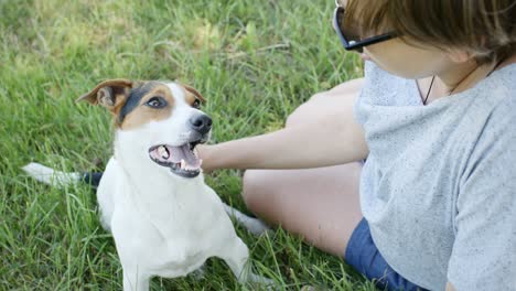 woman with her dog on the grass