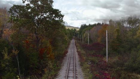 drone shot of train tracks amidst autumn trees in maine