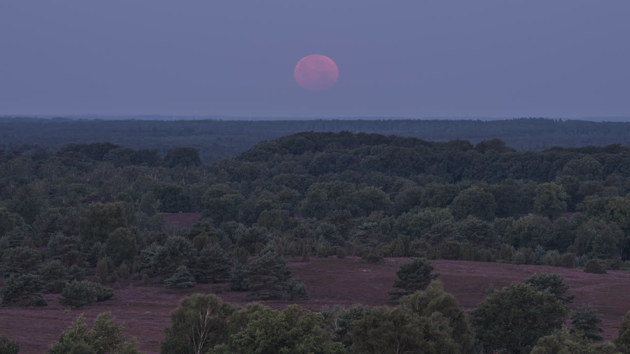 북부 독일의 히스 풍경에 보름달 설정