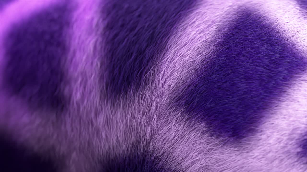 보라색과 색의 털 질감에 대한 근접적인 시각