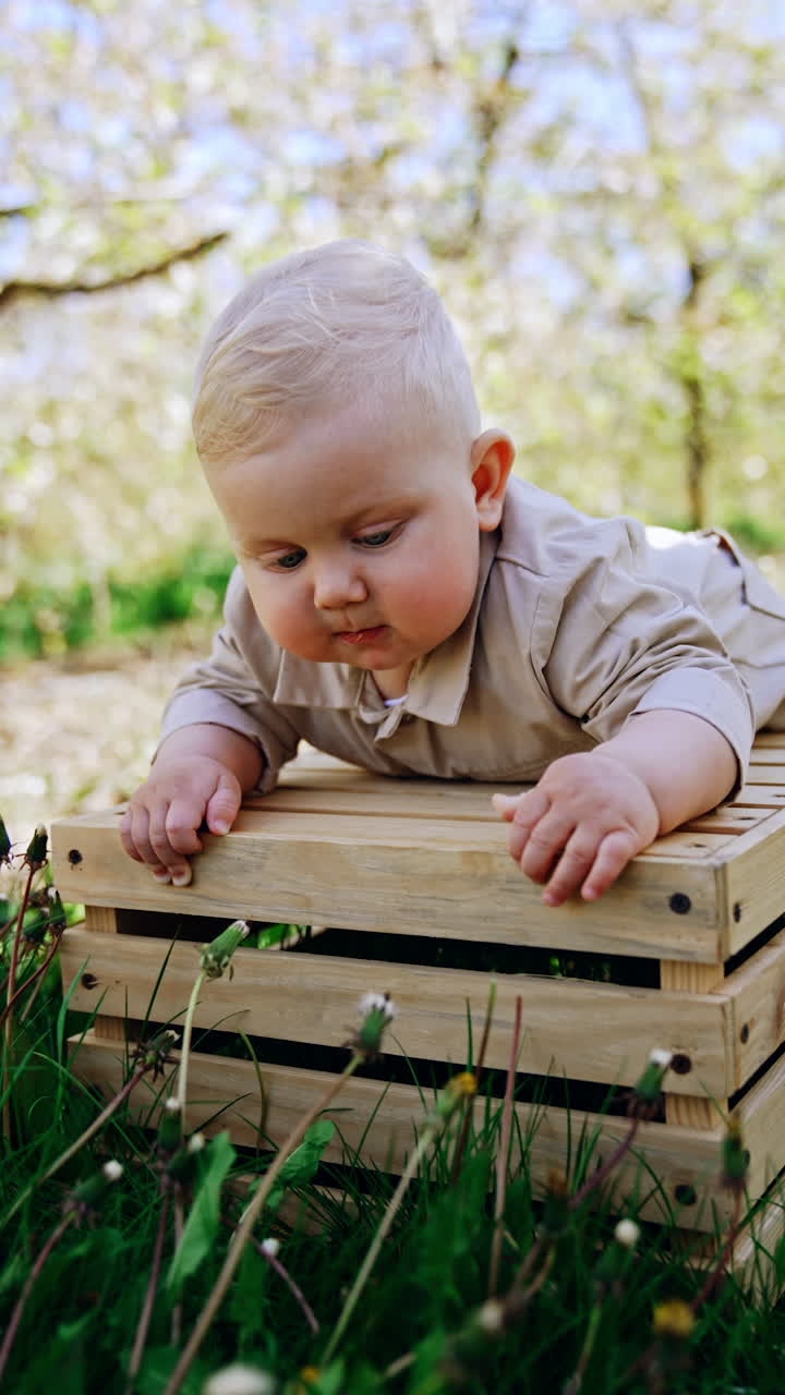 Small blond baby boy leaned over the wooden crate to pick a dandelion. Beautiful infant raises and looks at the sky. Vertical video.