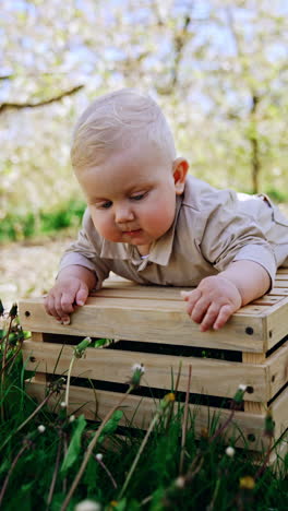 small blond baby boy leaned over the wooden crate to pick a dandelion. beautiful infant raises and looks at the sky. vertical video.