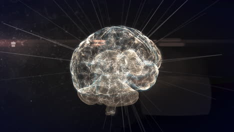animación del cerebro digital a través de una red de conexiones