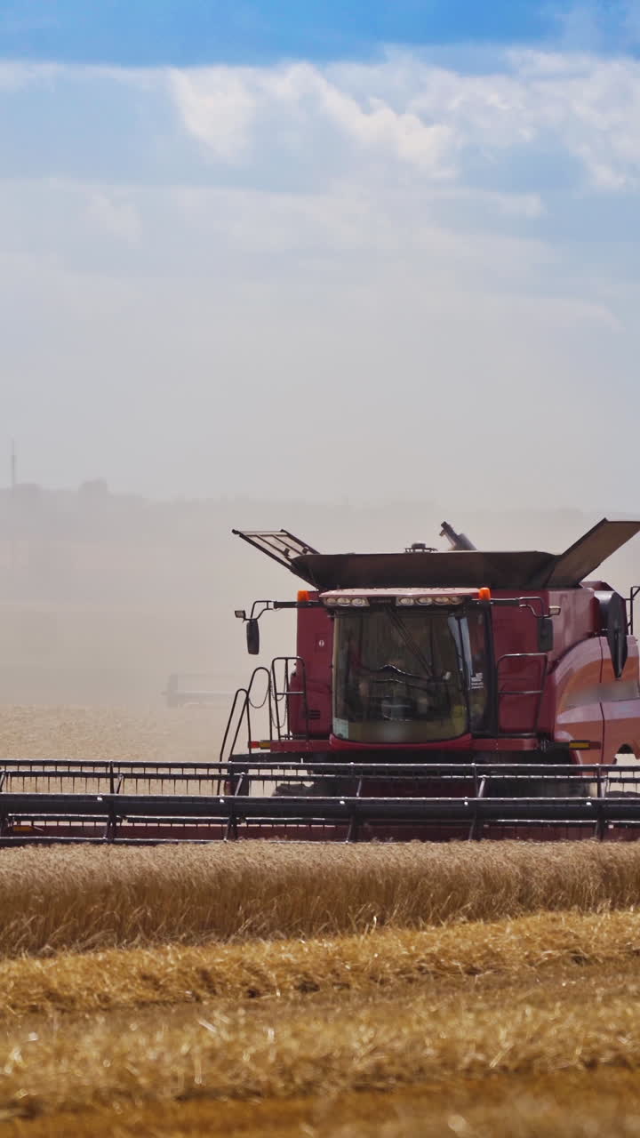 Process of cutting wheat spikelets on the field. Red combine harvester working in farmland. White dust behind the tractor during harvesting at seasonal works. Vertical video