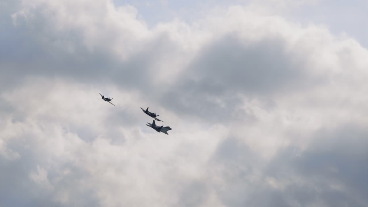군용 항공기 조립 에어쇼 항공기