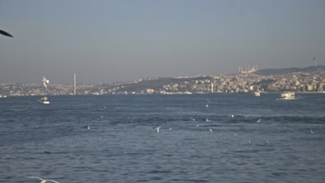 fishermen fishing on the bosphorus, galata bridge, with a sea view