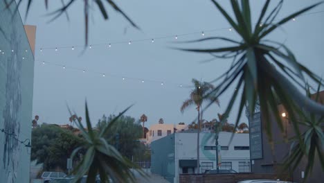 Eine-Einspielung-Von-Little-Italy-In-San-Diego-In-Der-Abenddämmerung,-Mit-Palmenpflanzen-Im-Vordergrund