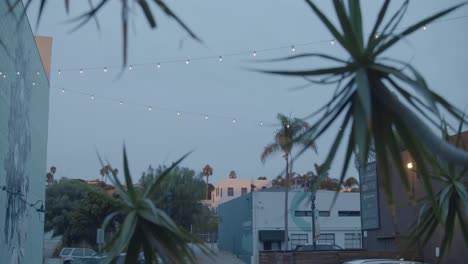 una toma de establecimiento de little italy en san diego al anochecer, con plantas de palma en el frente