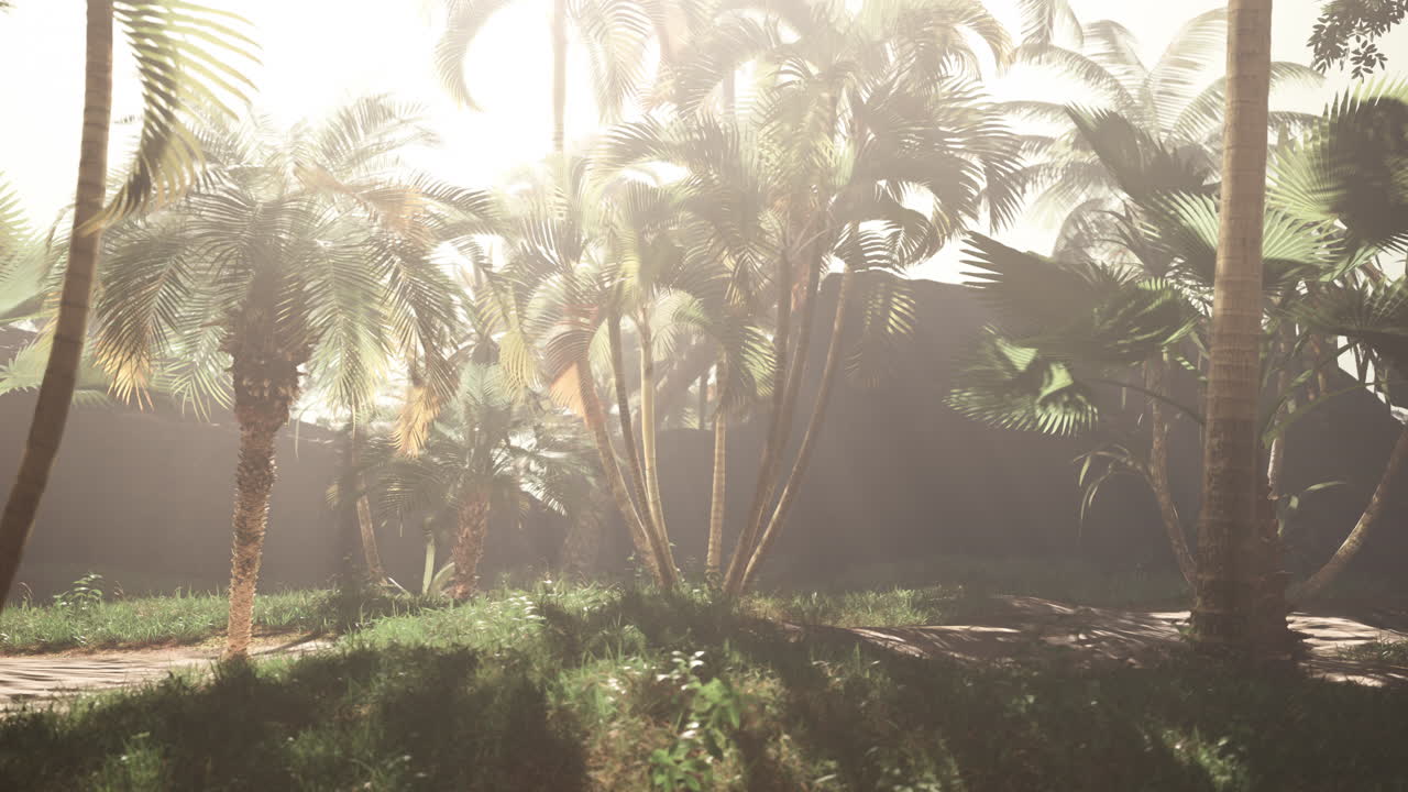 прекрасный тропический пляж с пальмами