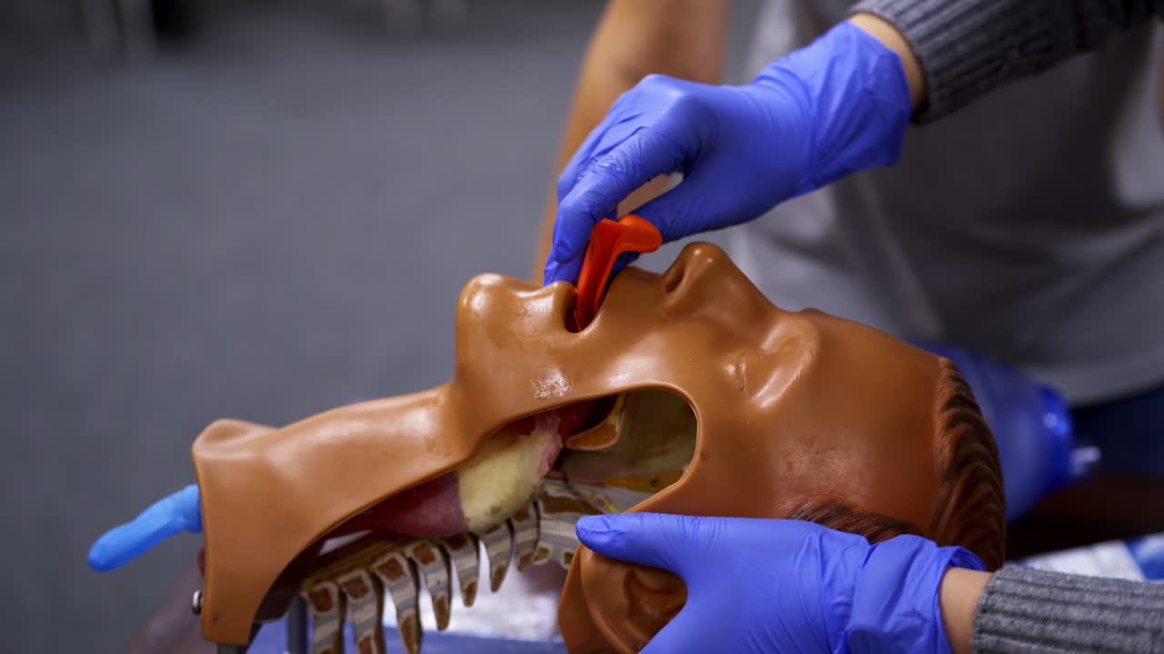 Closeup detail of a medical simulation mannequin head used for practicing anesthetic techniques. Healthcare and education video.