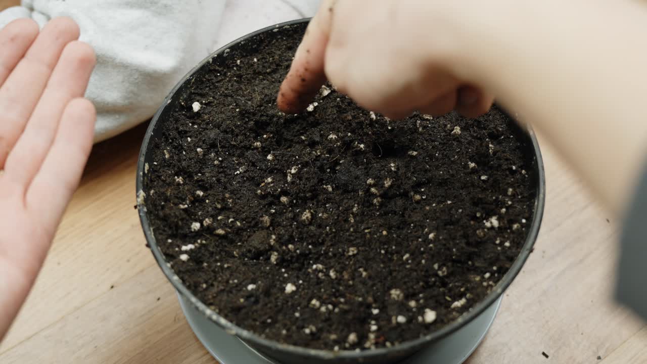 Hands planting seeds in potting soil with toddler helping to teach sowing process indoor plants