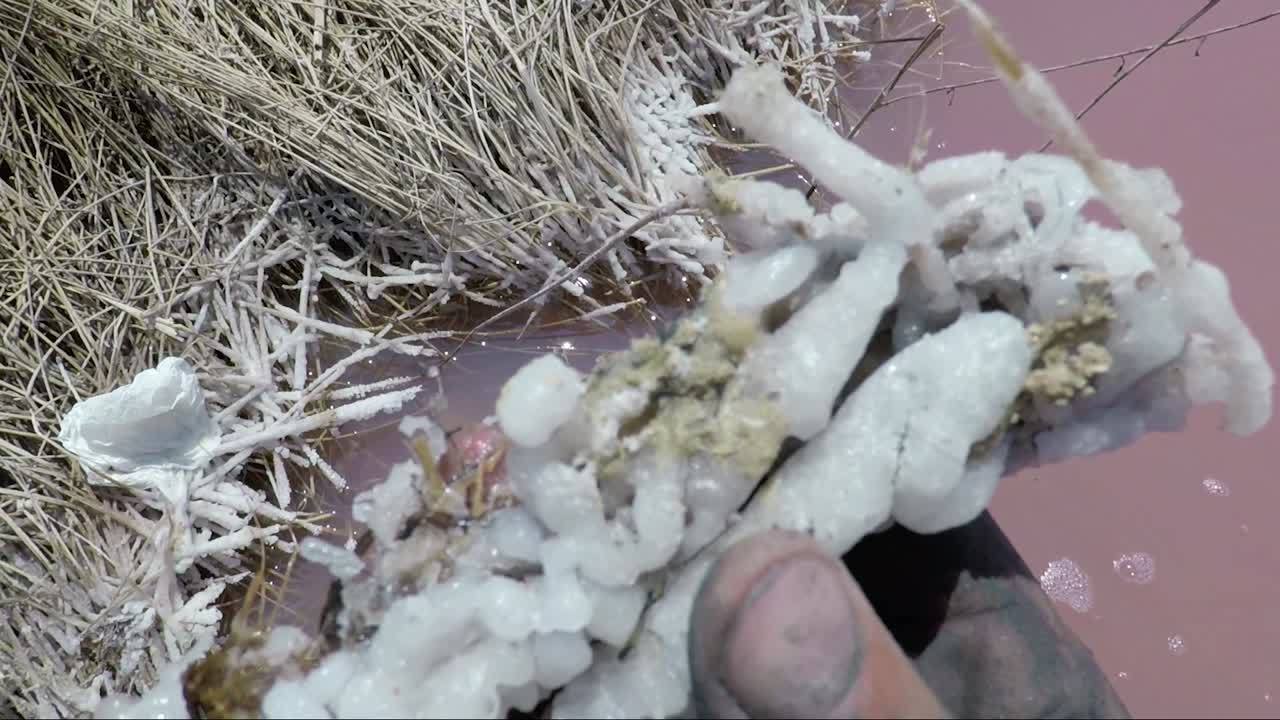 진흙과 소금 스파 살리나스 토레비에하 스페인