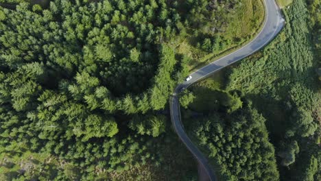 vista superior de un automóvil blanco que recorre una carretera con curvas en un bosque verde a lo largo de las montañas wicklow-2