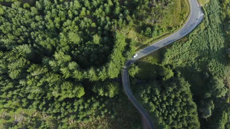 top-view of a white car riding along a curvy road in a green forest along the wicklow mountains-2