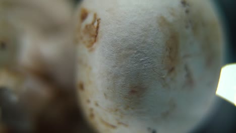 macro video of a pile of mushrooms, raw champignons, white caps, on a rotating stand, smooth movement, slow motion 120 fps