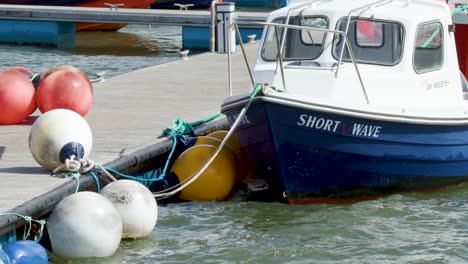 small blue and white fishing boat rocks among buoys in a bright, choppy harbor scene