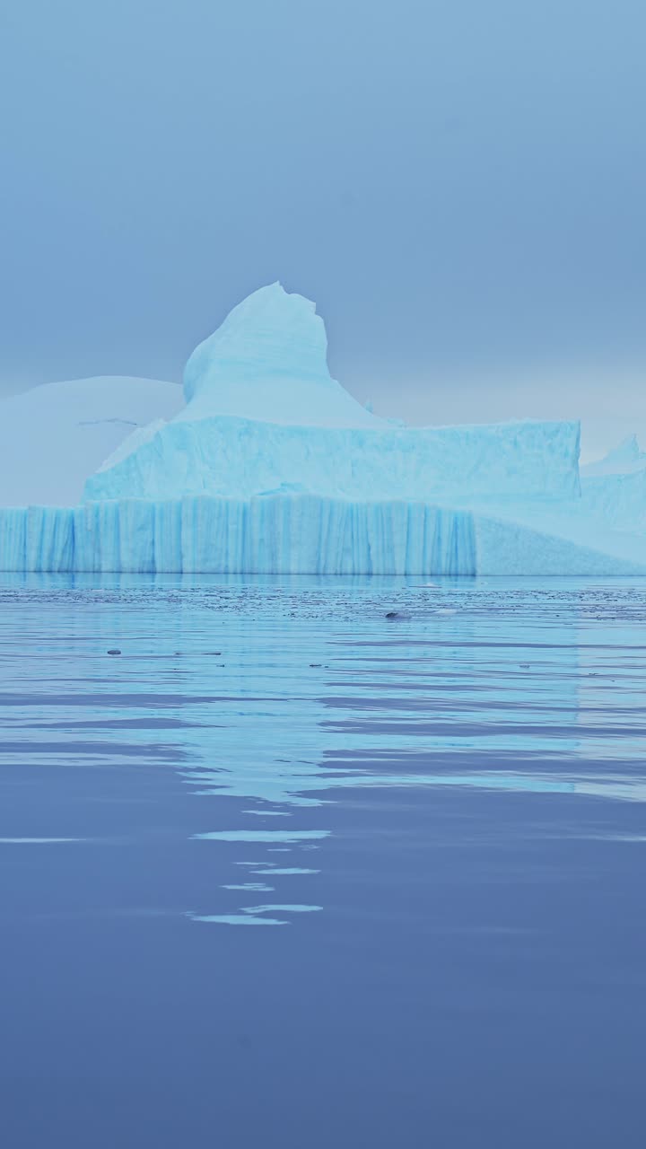 바다에서 큰 빙산 형성, 바물, 큰 놀라운 모양, 남극의 기묘한 빙산 풍경, 소셜 미디어, 인스타그램, 틱, 남극 반도 풍경