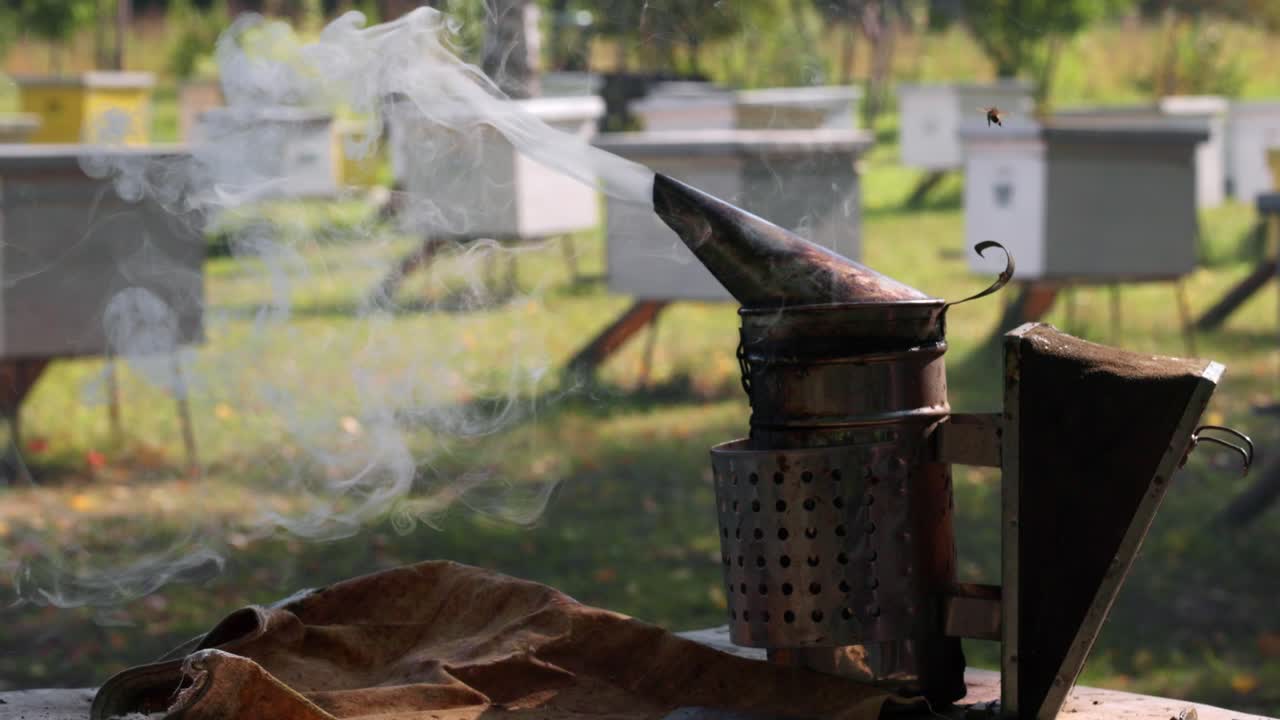 Beekeeper using a smoker