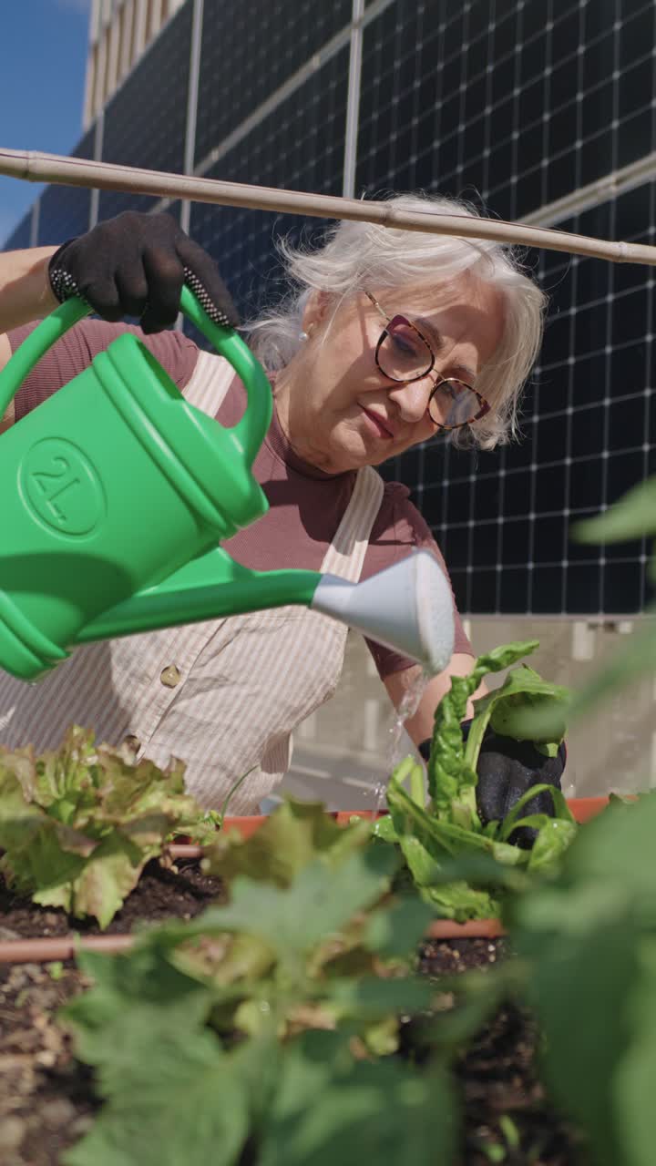Senior woman gardening in urban garden with solar panels