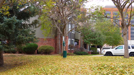 Lime-Green-and-Yellow-Leaves-Covering-the-Ground-and-Falling-Out-of-Trees-During-the-Autumn-Season-in-a-Dog-Park-on-a-Cloudy-Day-with-Brick-Buildings