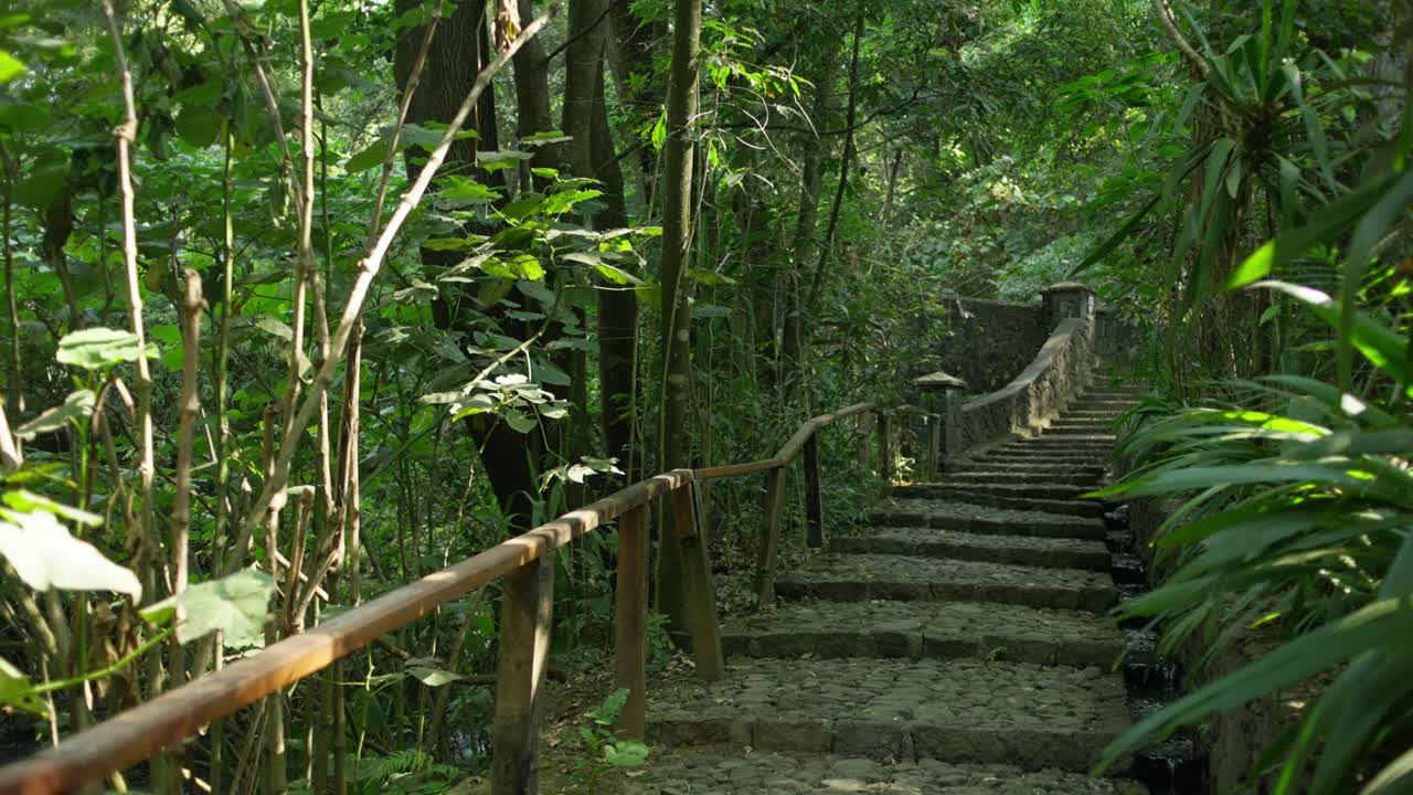 A narrow path with small rock stairs winds through the dense jungle of Barranca del Cupatitzio