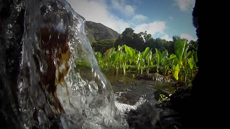 los problemas relacionados con el agua se muestran en este clip de agua que fluye hacia un campo verde
