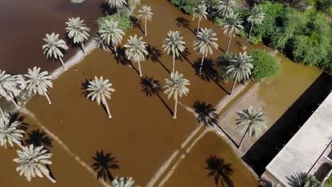 vista aérea de arriba hacia abajo de las tierras agrícolas rurales bajo el agua debido a las inundaciones en khairpur