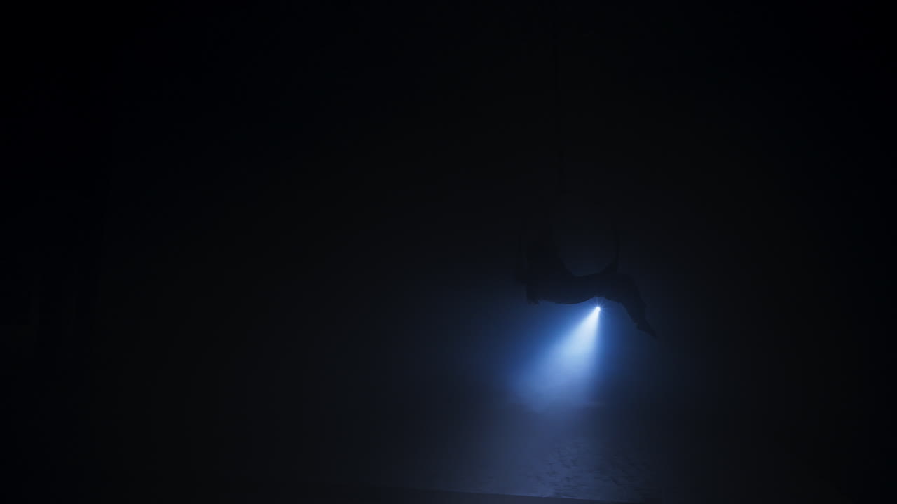 Aerial Hoop Performer