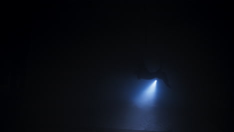 aerial hoop performer