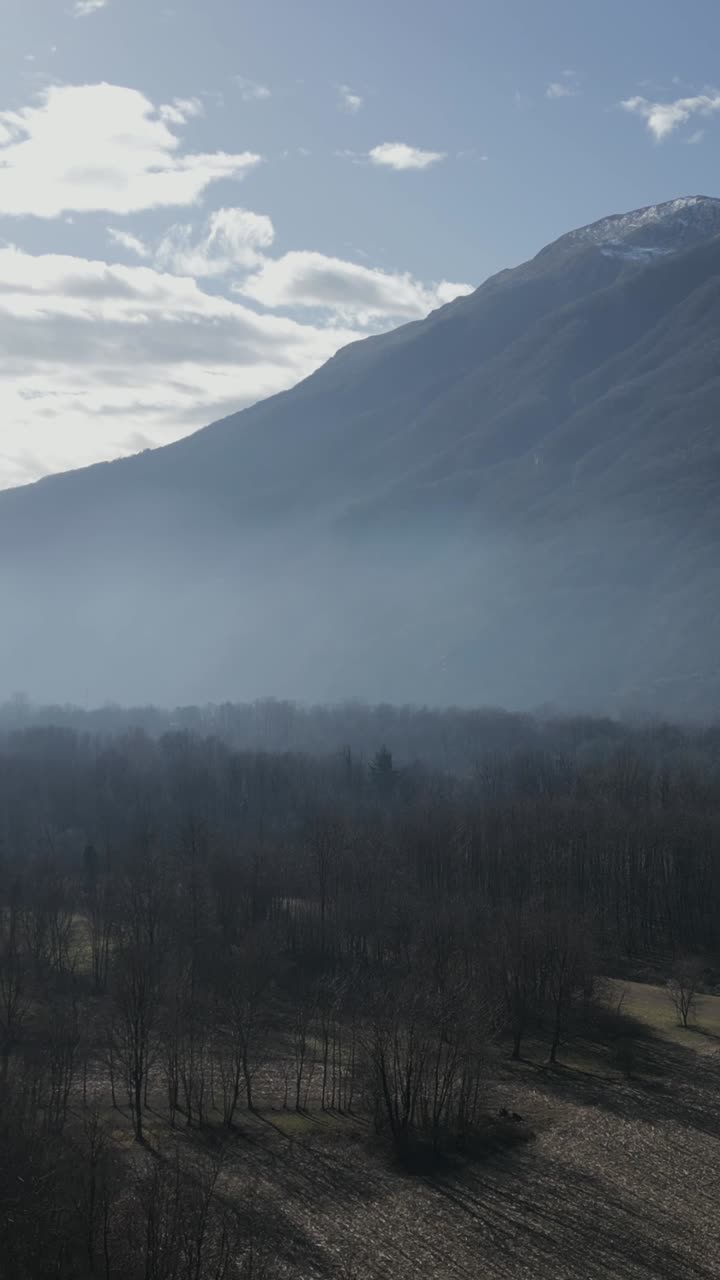 Overcast Mountain and Forest Landscape