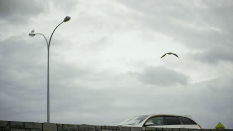 a bird flies off the street light pole