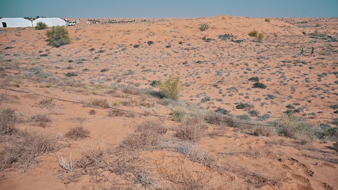 The Arabian desert landscape in the UAE, featuring patches of green plants and trees