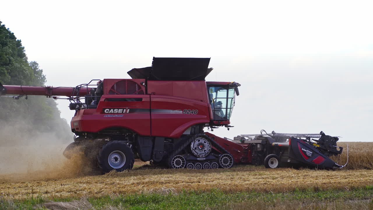 Combine working in field. Modern combine harvester working on wheat crop