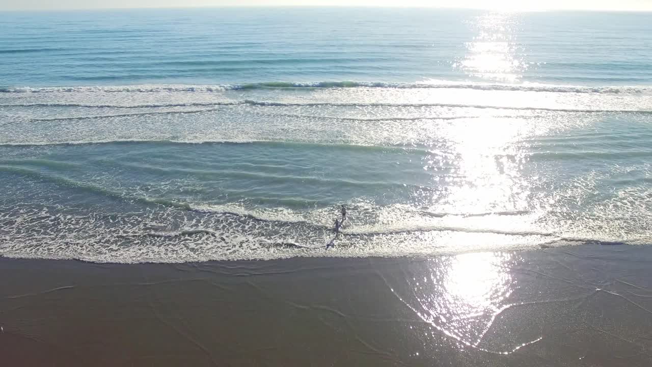 Tourist Enjoying The Bright Summer Day in New Zeland With Waves Splashing To Their Feet During Sunny Day - Wide Shot