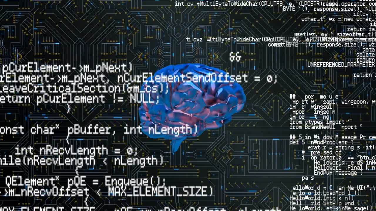 Brain and a digital circuit with program codes