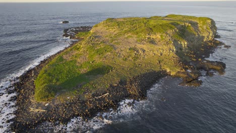 cook island with rocky coastline in the early morning in nsw, australia